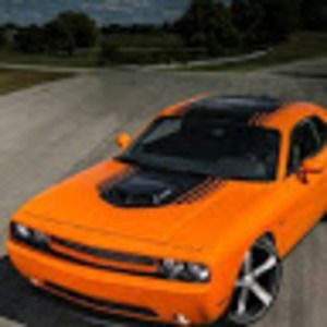 Meet your Posher, Marcel jr